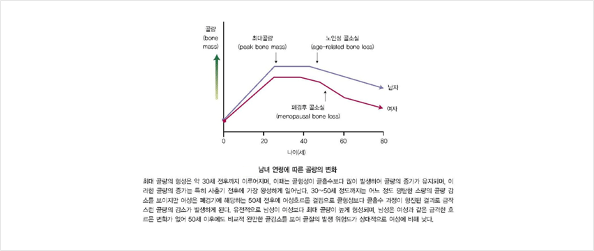 척추 뼈